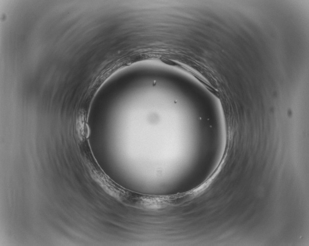 X0000086080190200703231414