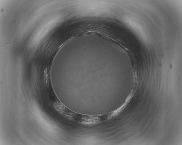 X0000086080191200703231414