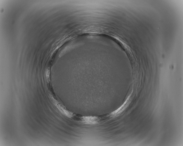 X0000086080192200703231414