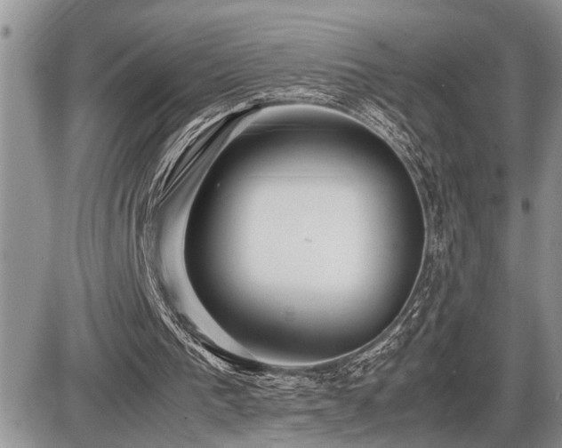 X0000086080193200703231413