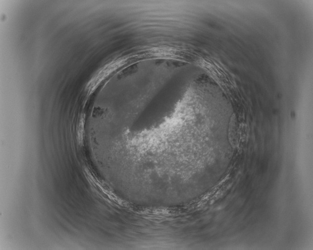 X0000086080194200703231413