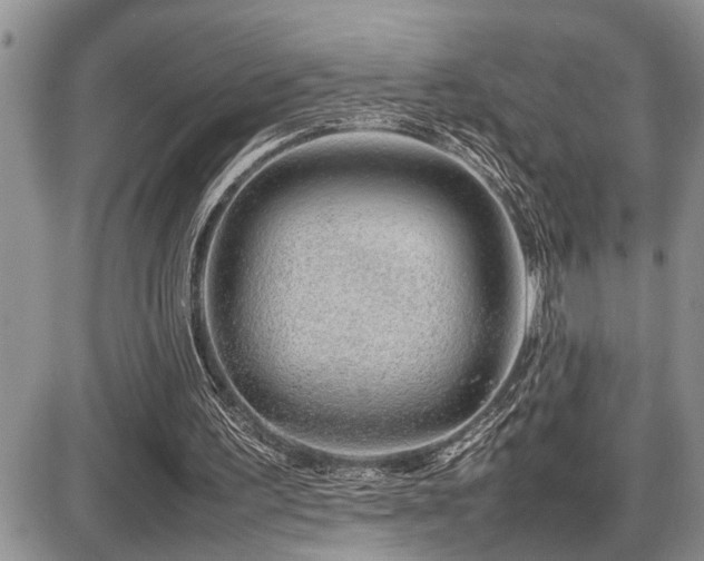 X0000086080195200703231413