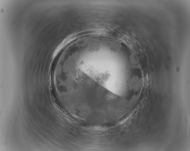 X0000086080198200703231413