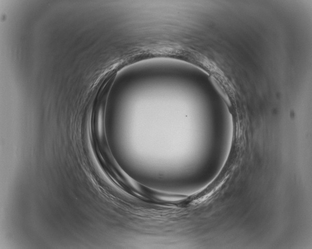 X0000086080201200703231413