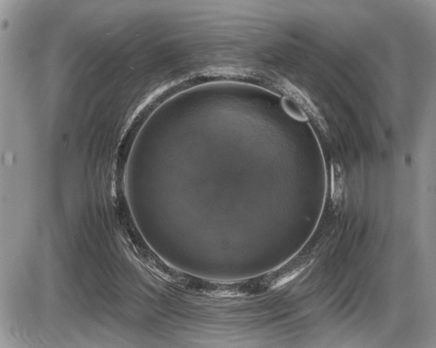 X0000086080204200703231413