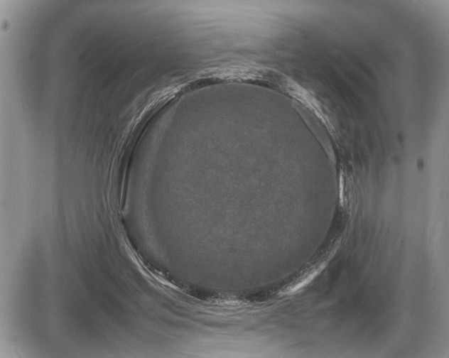 X0000086080205200703231413