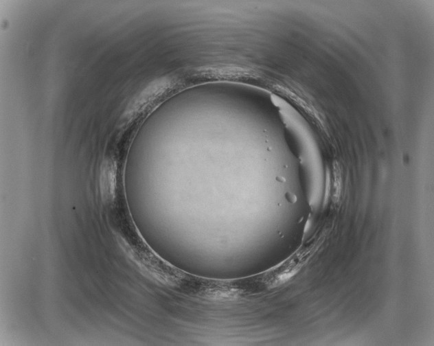 X0000086080206200703231413