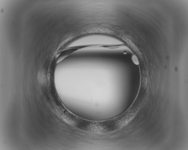 X0000086080207200703231413