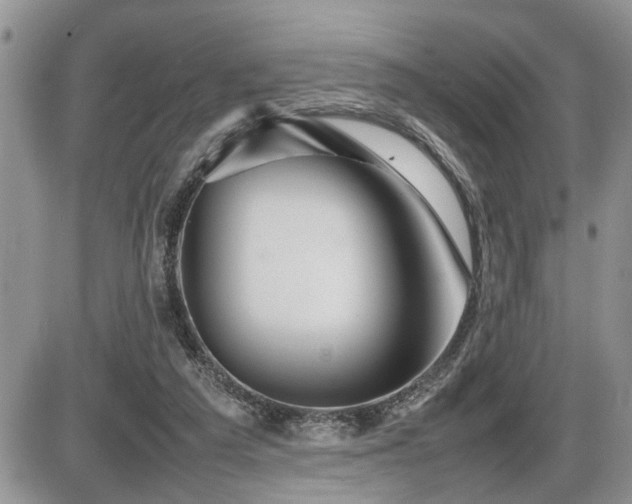 X0000086080209200703231413