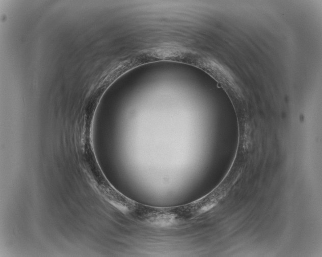 X0000086080210200703231413