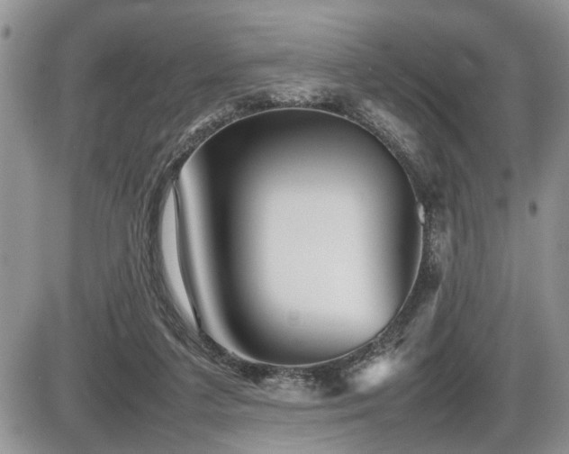 X0000086080211200703231413