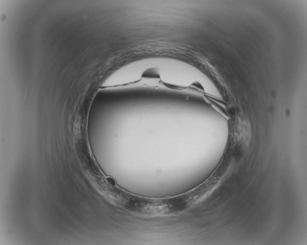 X0000086080213200703231413