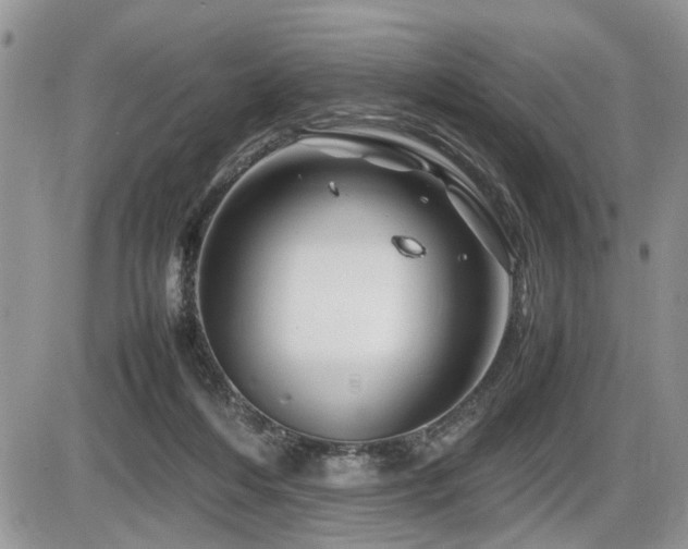 X0000086080216200703231413