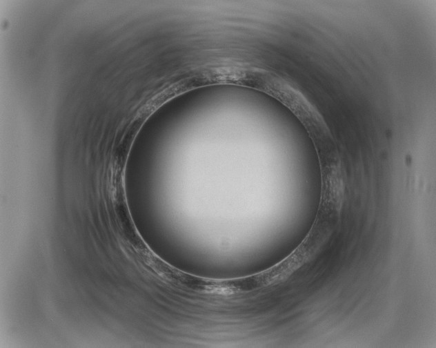 X0000086080218200703231413