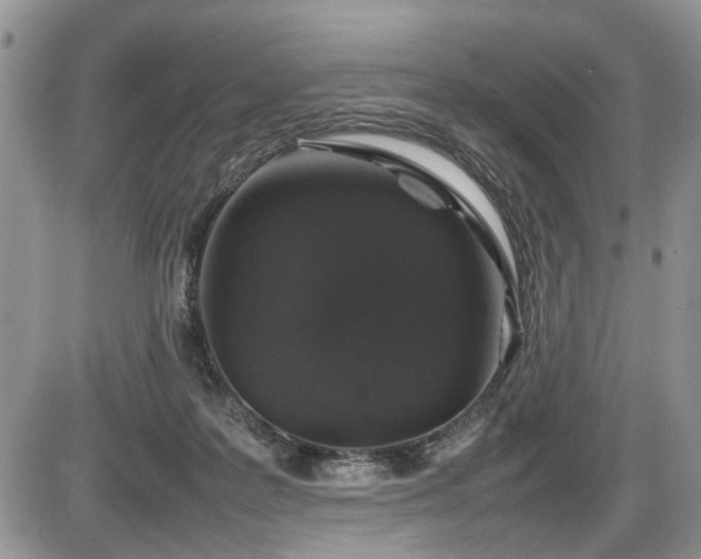 X0000086080219200703231413