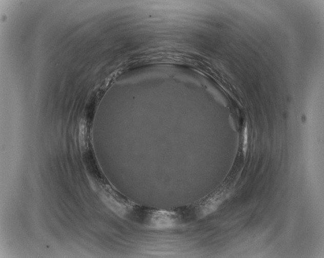 X0000086080222200703231413