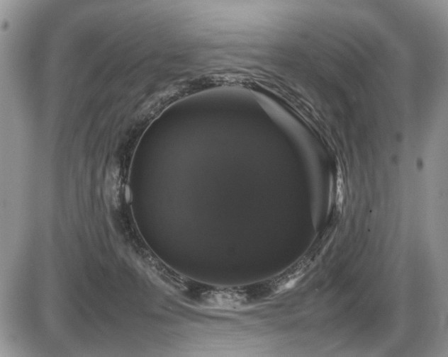 X0000086080223200703231413