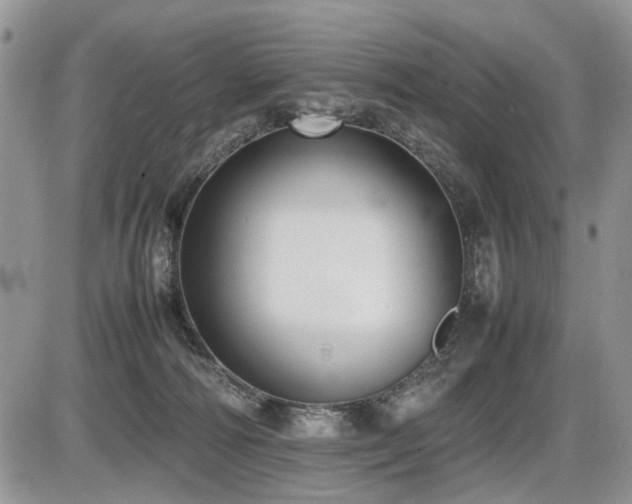 X0000086080226200703231413