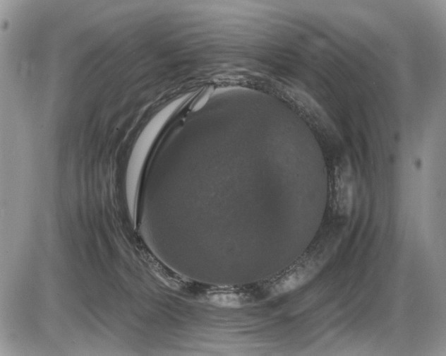 X0000086080228200703231413