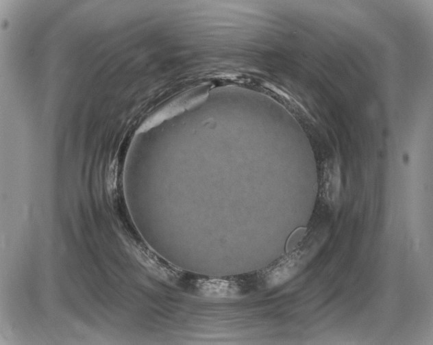 X0000086080230200703231413