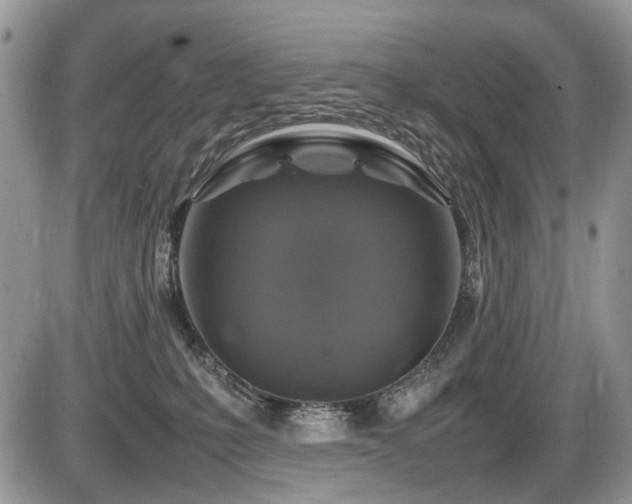 X0000086080231200703231413