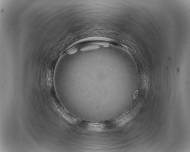 X0000086080234200703231413