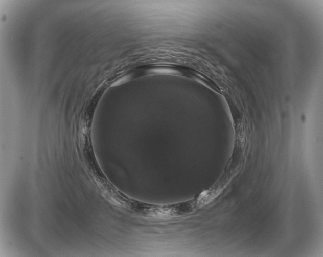 X0000086080235200703231413