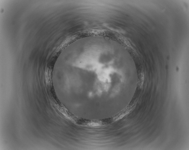 X0000086080236200703231413