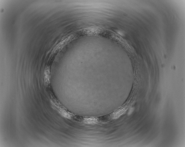 X0000086080240200703231412