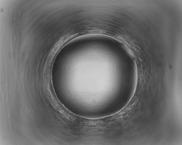 X0000086080241200703231412