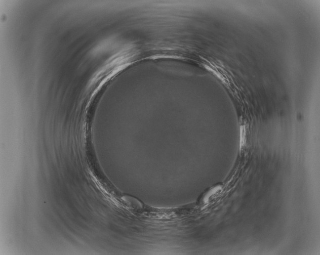 X0000086080243200703231412