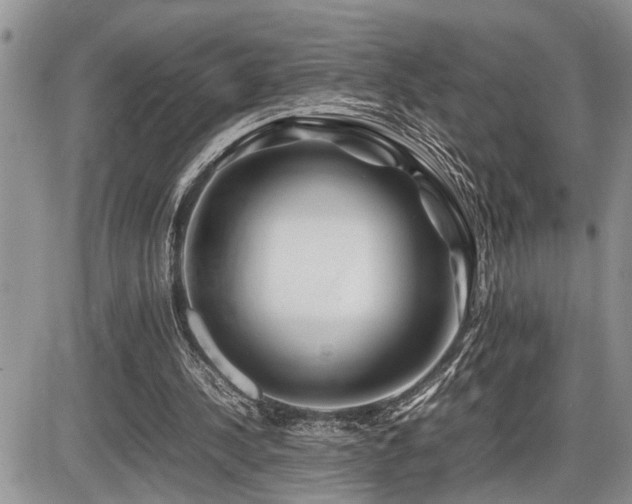 X0000086080244200703231412