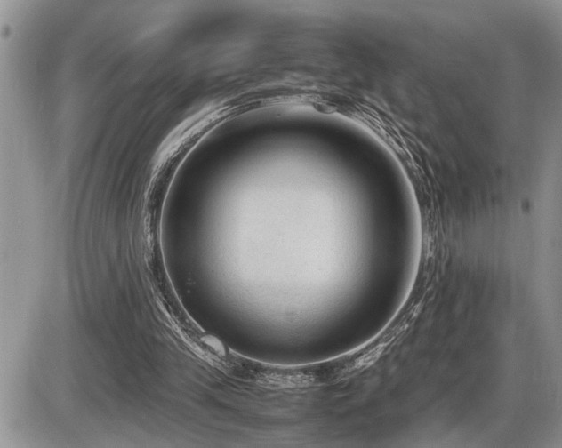 X0000086080245200703231412