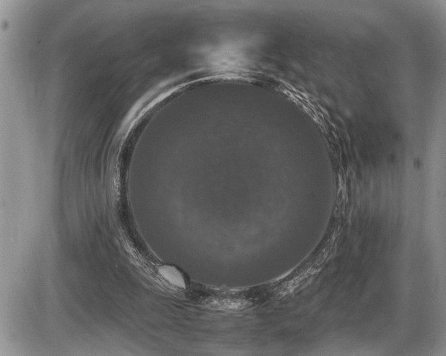 X0000086080247200703231412