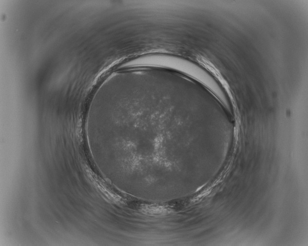 X0000086080249200703231412