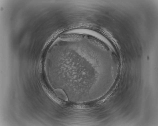 X0000086080250200703231412