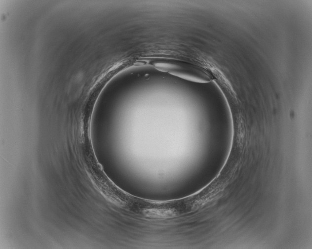 X0000086080251200703231412