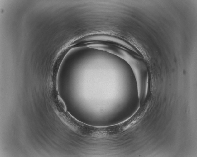 X0000086080252200703231412