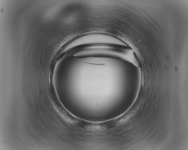 X0000086080253200703231412