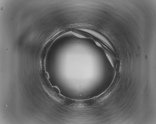 X0000086080254200703231412