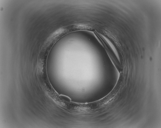 X0000086080255200703231412