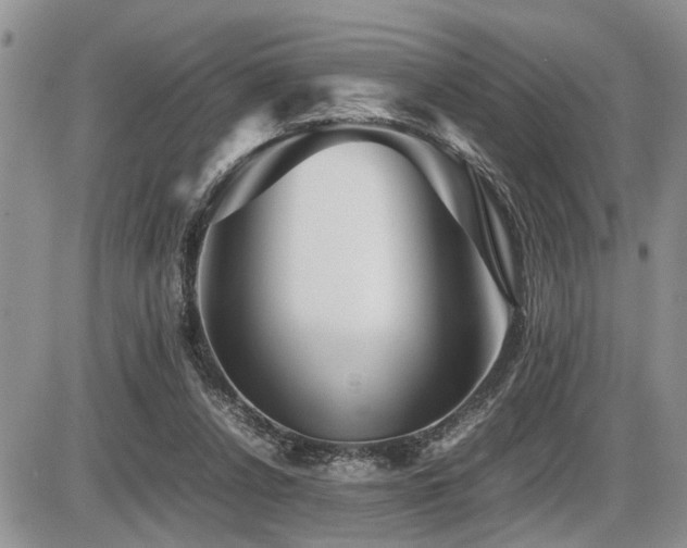 X0000086080256200703231412