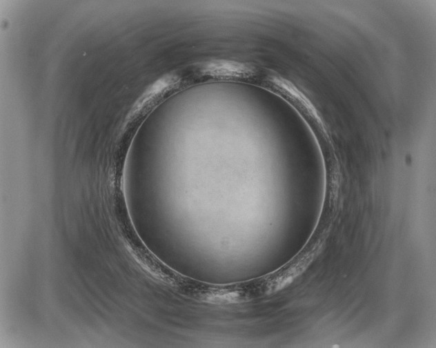 X0000086080257200703231412