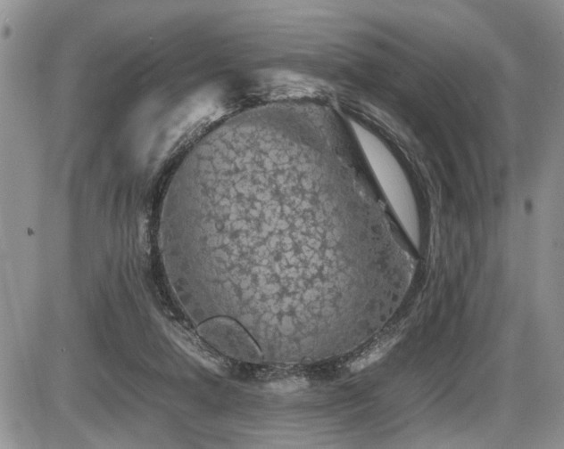 X0000086080258200703231412