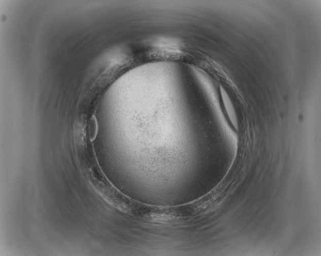 X0000086080259200703231412