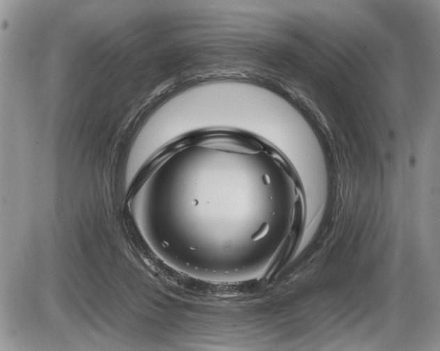 X0000086080260200703231412