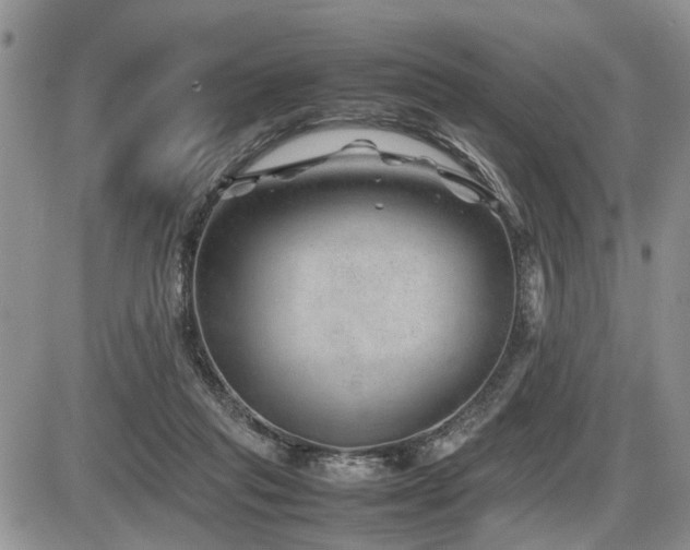 X0000086080261200703231412