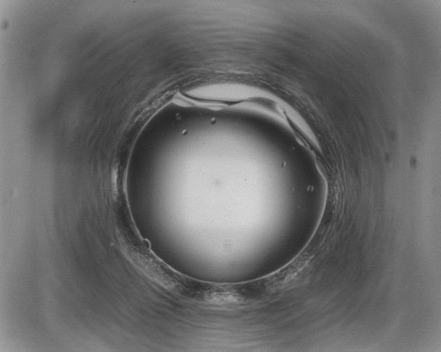 X0000086080262200703231412