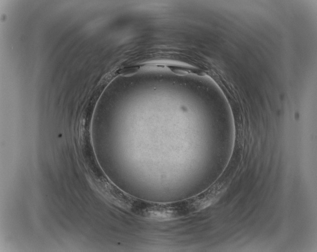 X0000086080263200703231412