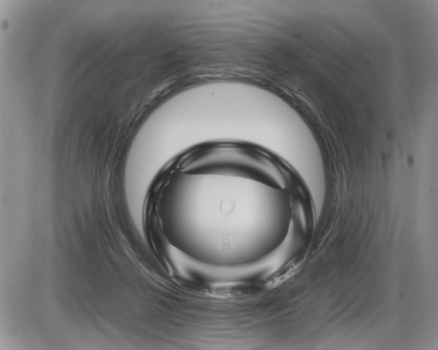 X0000086080264200703231412